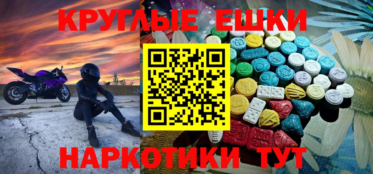 Ecstasy бентли Борзя