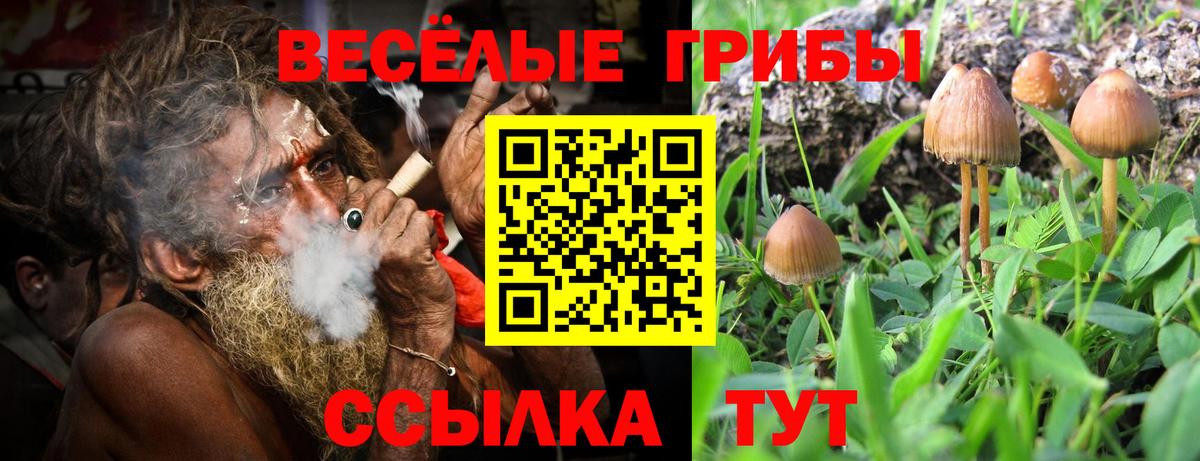 Псилоцибиновые грибы GOLDEN TEACHER  Вход с VPN  Борзя 