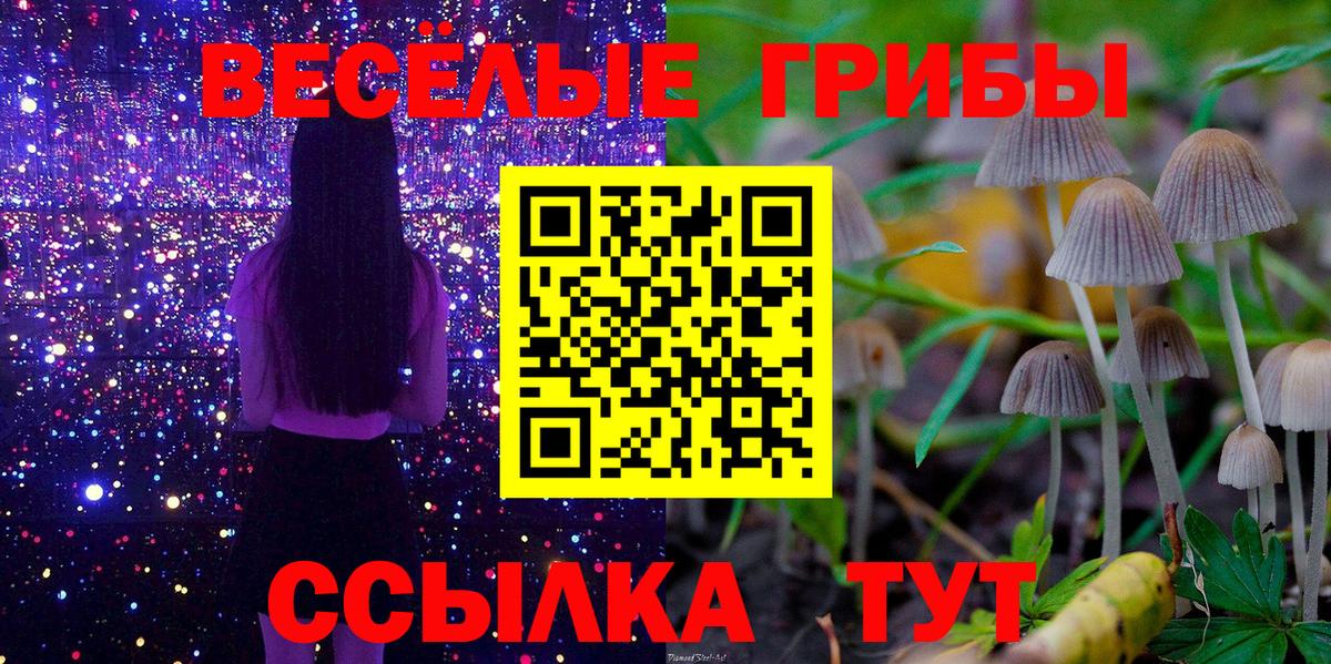 Псилоцибиновые грибы MAGIC MUSHROOMS Борзя